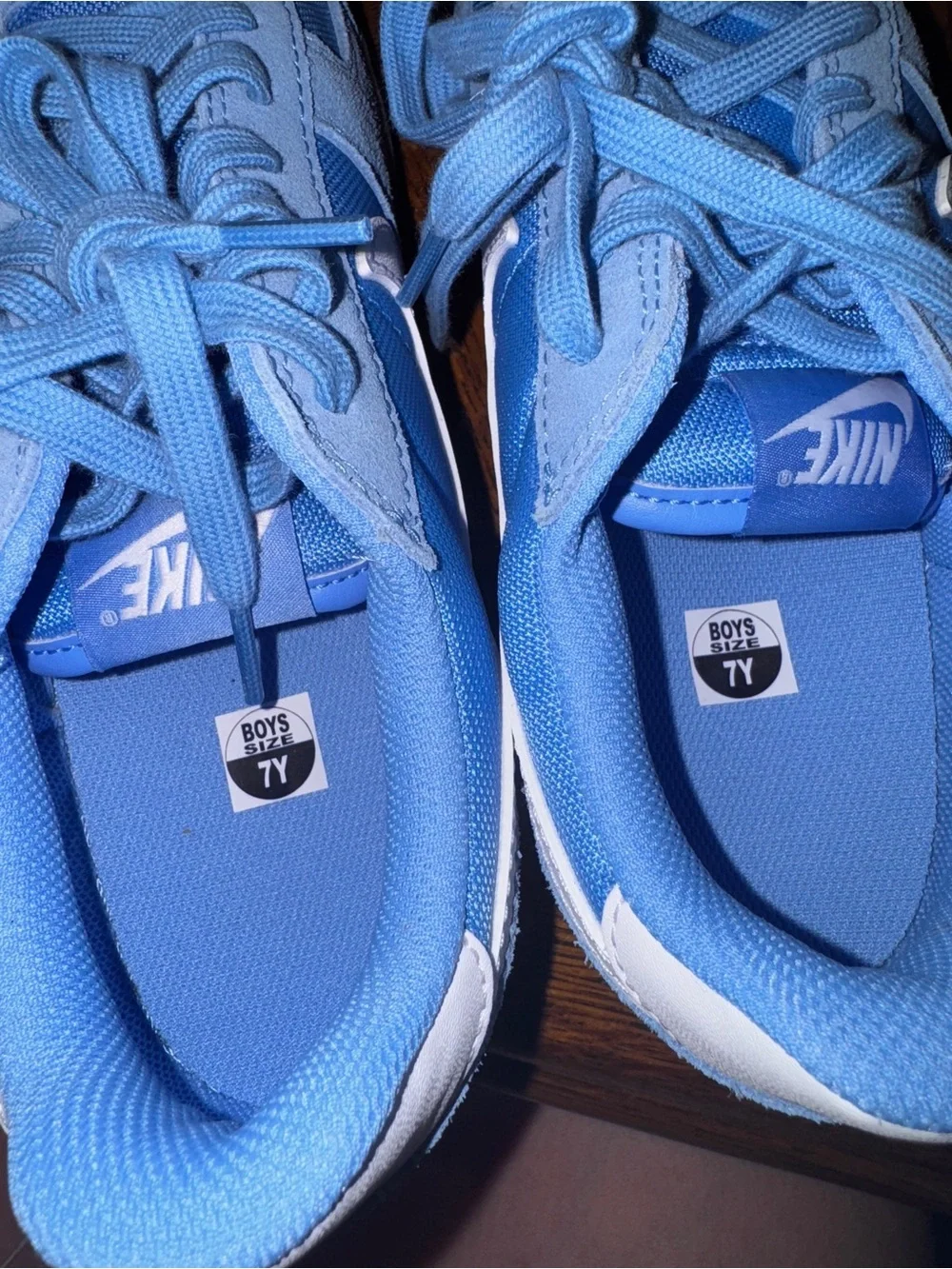 Nike Light Blue and White Low-Top Sneakers